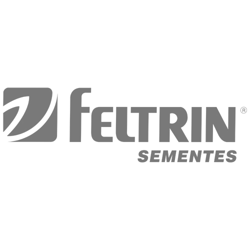 09_feltrin